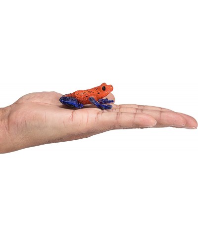 Poison Dart Tree Frog Realistic International Wildlife Hand Painted Toy Figurine $16.31 Kids' Play Animal Figures