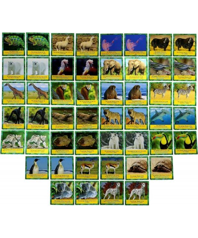 Memory Game - Animal Matching Game for Kids Ages 3 and Up - Animal Card Game Educational Learning Toy - Birthday for Boys and...