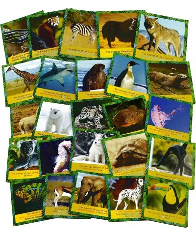 Memory Game - Animal Matching Game for Kids Ages 3 and Up - Animal Card Game Educational Learning Toy - Birthday for Boys and...