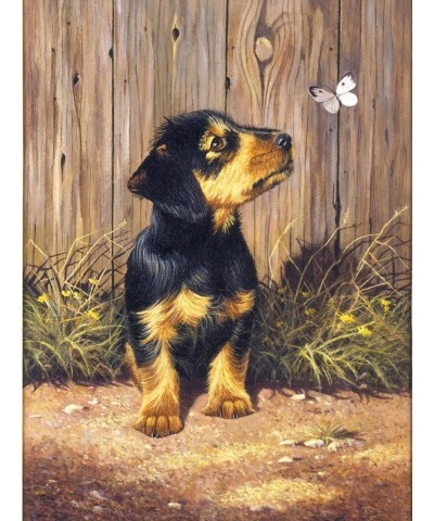 Painting by Numbers Junior Small Art Activity Kit Dachshund Puppy (PJS51) $16.12 Kids' Drawing & Writing Boards