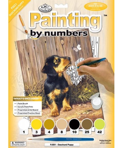 Painting by Numbers Junior Small Art Activity Kit Dachshund Puppy (PJS51) $16.12 Kids' Drawing & Writing Boards