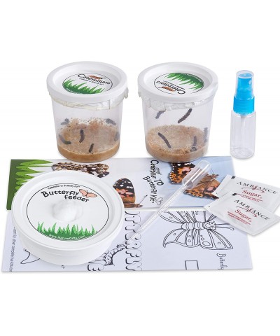 Store 10 Live Caterpillars Shipped Now: Butterfly Kit Refill $44.50 Habitat Science Kits