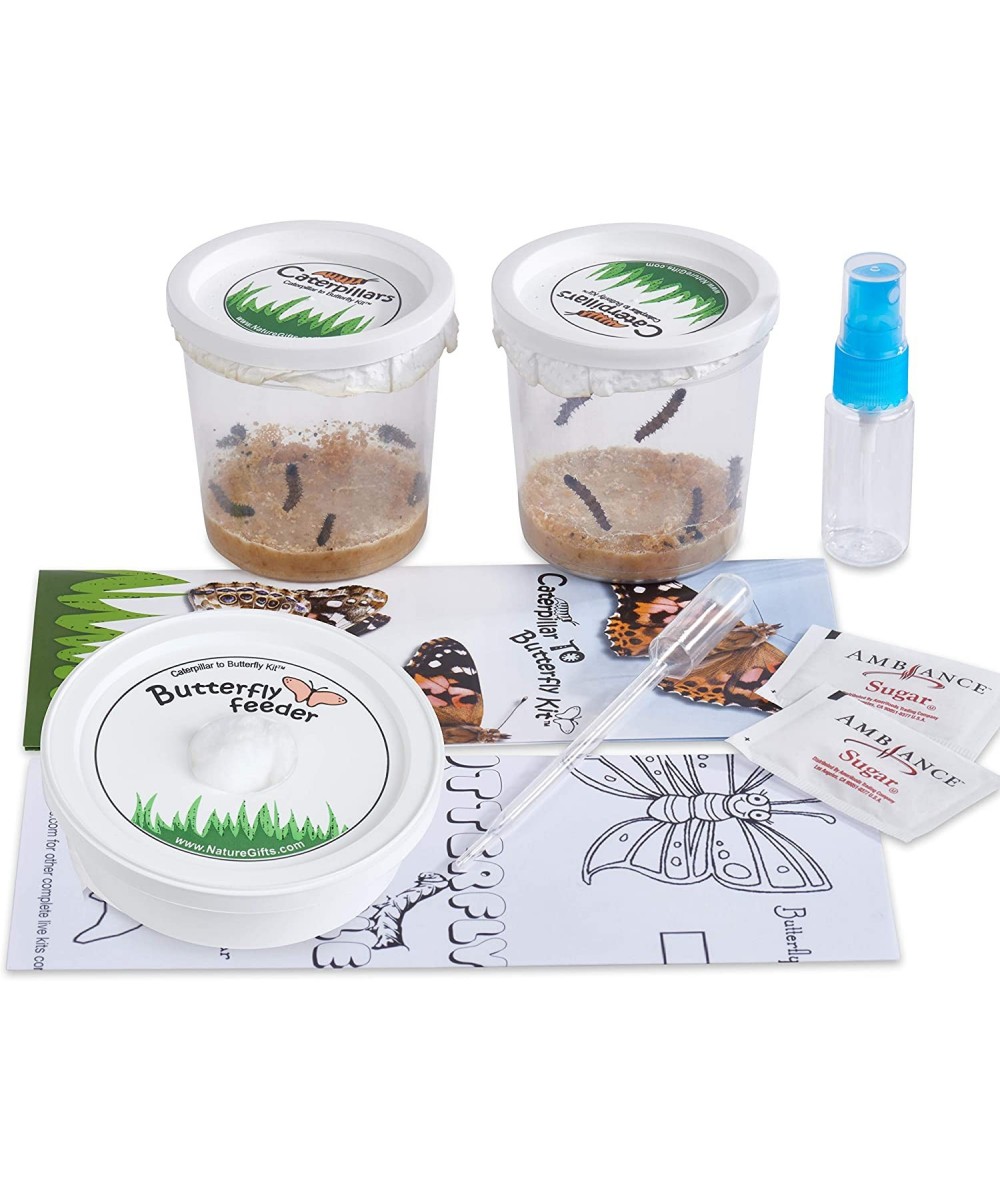 Store 10 Live Caterpillars Shipped Now: Butterfly Kit Refill $44.50 Habitat Science Kits