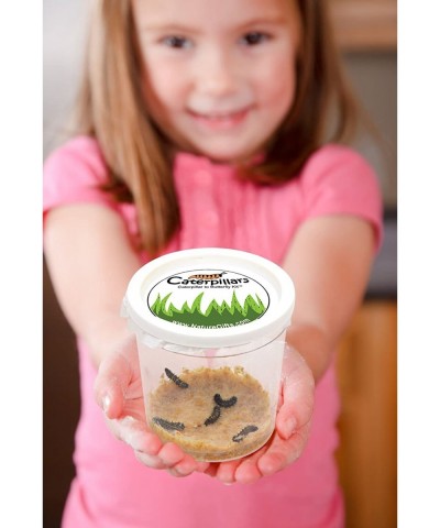 Store 10 Live Caterpillars Shipped Now: Butterfly Kit Refill $44.50 Habitat Science Kits