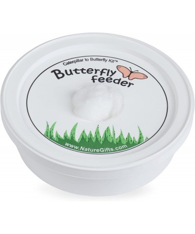 Store 10 Live Caterpillars Shipped Now: Butterfly Kit Refill $44.50 Habitat Science Kits