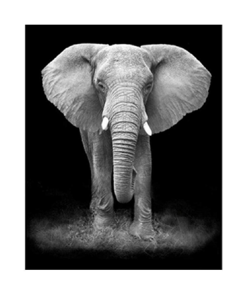 Jigsaw Puzzle 1000 Piece for Adults Puzzle 3D Wooden Classic Puzzle Black and White Elephants Animal DIY Collectibles Modern ...