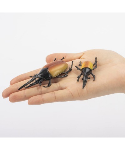 10pcs Beetle Figurine Realistic Beetles Figure Models Garden Animal Simulated Beetle Figures $20.51 Play Figure Playsets