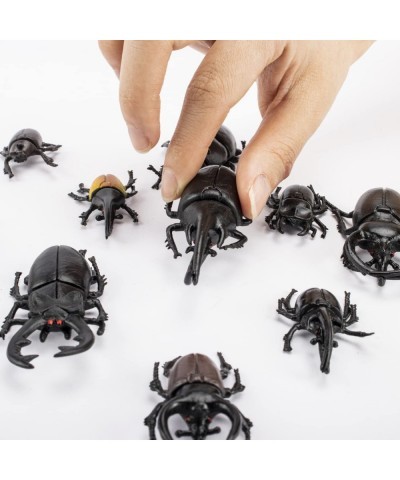 10pcs Beetle Figurine Realistic Beetles Figure Models Garden Animal Simulated Beetle Figures $20.51 Play Figure Playsets