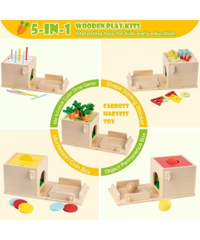 5-in-1 Wooden Play Kit Montessori Toy for 1 2 3 Year Old Object Permanence Box Coin Box Carrot Harvest Matchstick Drop Shape ...