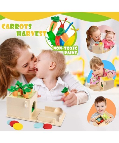 5-in-1 Wooden Play Kit Montessori Toy for 1 2 3 Year Old Object Permanence Box Coin Box Carrot Harvest Matchstick Drop Shape ...