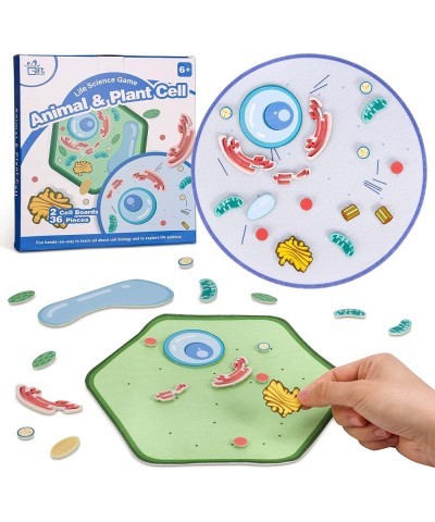 Animal and Plant Cell Anatomy Model Soft Felt Early Cell Biology and Life Science STEM Toys Classroom Teaching Aid Educationa...