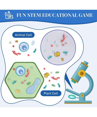 Animal and Plant Cell Anatomy Model Soft Felt Early Cell Biology and Life Science STEM Toys Classroom Teaching Aid Educationa...