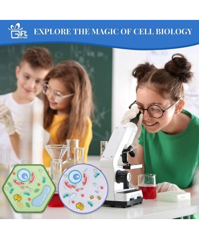 Animal and Plant Cell Anatomy Model Soft Felt Early Cell Biology and Life Science STEM Toys Classroom Teaching Aid Educationa...