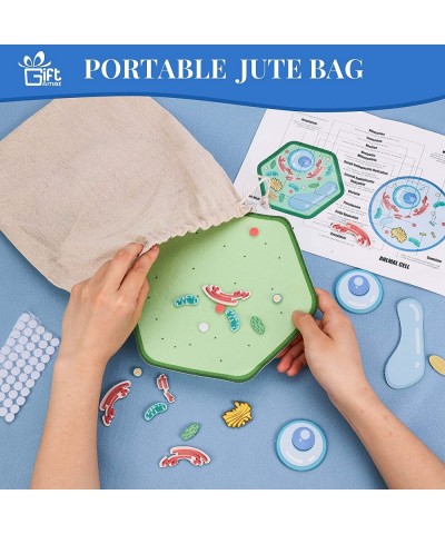 Animal and Plant Cell Anatomy Model Soft Felt Early Cell Biology and Life Science STEM Toys Classroom Teaching Aid Educationa...