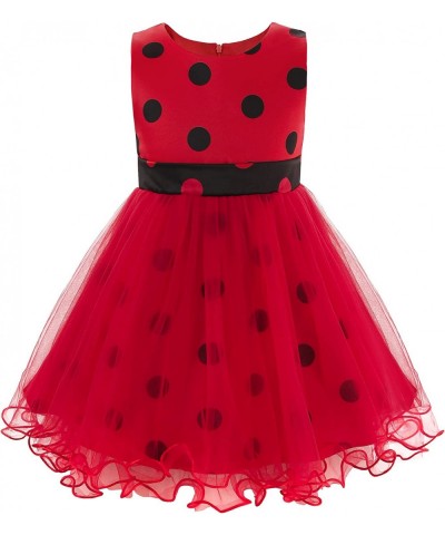 Girls Ladybug Costume Sleeveless Tutu Dress Halloween Party with Accessories $45.55 Kids' Costumes