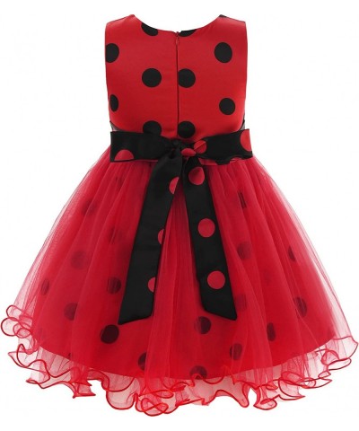 Girls Ladybug Costume Sleeveless Tutu Dress Halloween Party with Accessories $45.55 Kids' Costumes