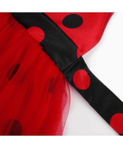 Girls Ladybug Costume Sleeveless Tutu Dress Halloween Party with Accessories $45.55 Kids' Costumes