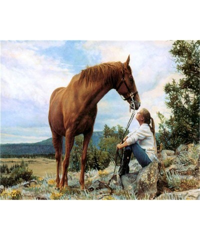 Paint by Numbers for Adults DIY Oil Painting 16x20 Inch Horse and Girl (Frameless) $22.06 Craft Kits