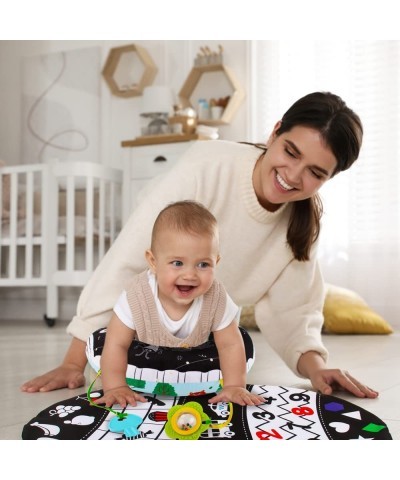 Tummy Time Pillow with Crinkle Paper & Teethers Infant Discovery Toy for 0-6 Months Babies Black and White High Contrast Baby...