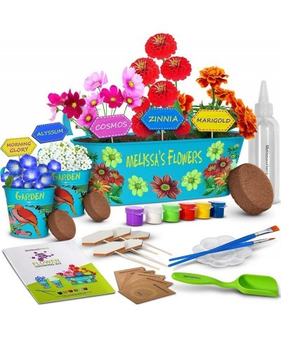 Melissa&Harry Kids Gardening Kit for Birthday Crafts Girls & Boys of All Ages 4 5 6 7 8-12 Year Old Children's Paint and Plan...