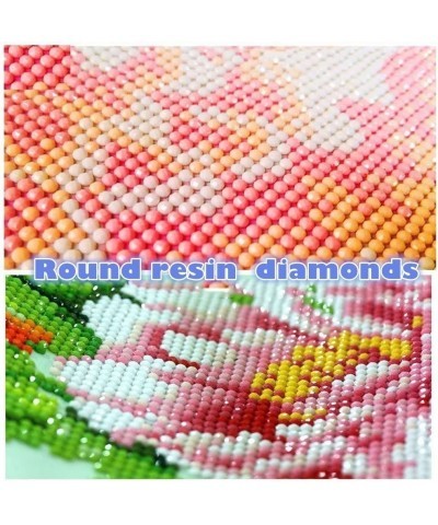 5D Diamond Painting by Number Kits New DIY Diamond Painting Kit for Adults Cross Stitch Full Toolkit Embroidery Arts Craft Pi...