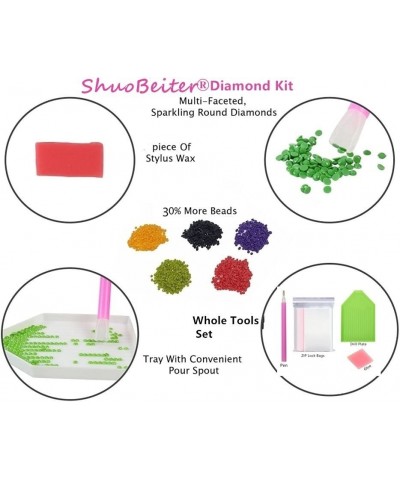 5D Diamond Painting by Number Kits New DIY Diamond Painting Kit for Adults Cross Stitch Full Toolkit Embroidery Arts Craft Pi...