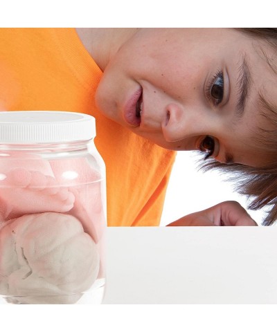 Growing Body Parts Jar Anatomy Science Toy for Kids (1/2 Gallon) $24.73 Educational Science Kits