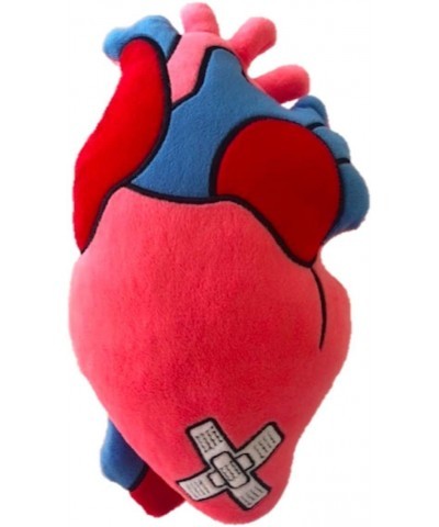 Stuffed Plush Anatomical Heart Pillow $39.53 Kids' Plush Toy Pillows