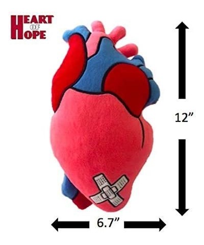 Stuffed Plush Anatomical Heart Pillow $39.53 Kids' Plush Toy Pillows