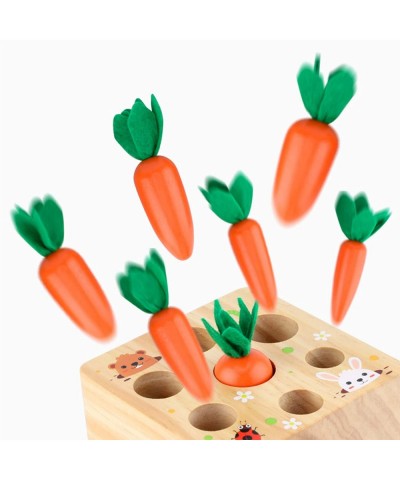 Wooden Toys for 1 Year Old Boys and Girs Montessori Size Sorting & Counting First Birth Gifts Carrots Harvest Puzzle Game for...