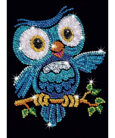 Red Owl Sparkling Arts and Crafts Picture Kit Creative Crafts (1403) $58.55 Craft Kits