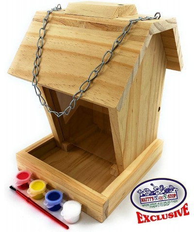 Paint Your Own Deluxe Large 9" Wooden Bird Feeder (Includes 4 Paints & 1 Brush) $43.90 Craft Kits