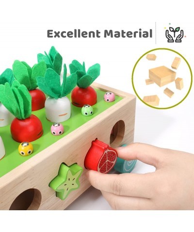 Gifts for 2 Year Old Girls Montessori Toys for 1 2 3 4 Year Old Toddlers Boys and Girls Wooden Educational Sorting Toys Presc...