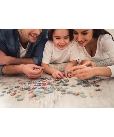 Smart-Puzzle Glue Jigsaw Puzzle Accessory $22.98 Puzzle Accessories