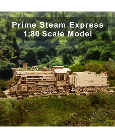 3D Wooden Puzzle for Adults-Mechanical Train Model Kits-Brain Teaser Puzzles-Vehicle Building Kits-Unique Gift for Kids on Bi...