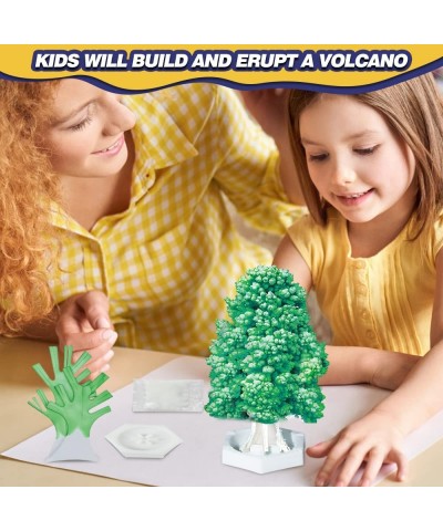 Kids Science Kit - 4 Science Experiments - Erupting Volcanos|Grow Crystal Tree|Fake Snow|Effervescence of Water-Oil Pigment D...