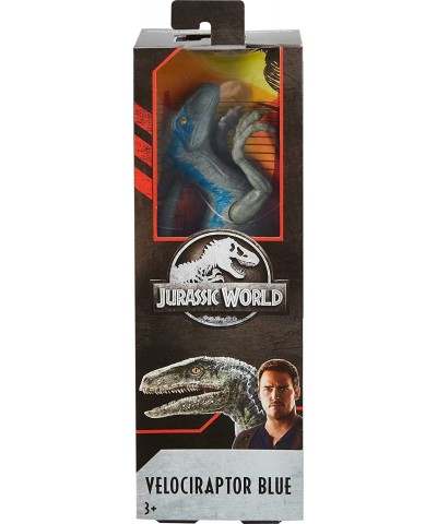 Jurassic World Large Basic Velociraptor Blue $31.79 Action Figures